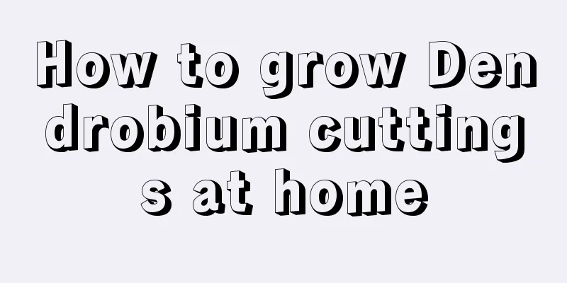 How to grow Dendrobium cuttings at home