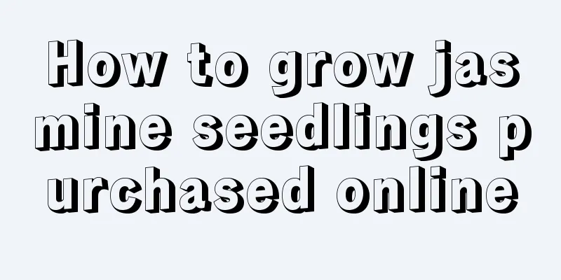 How to grow jasmine seedlings purchased online