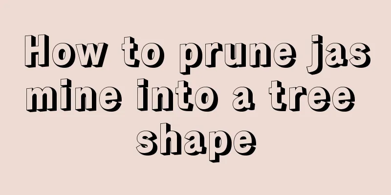 How to prune jasmine into a tree shape