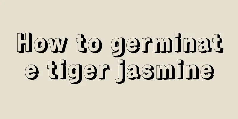 How to germinate tiger jasmine