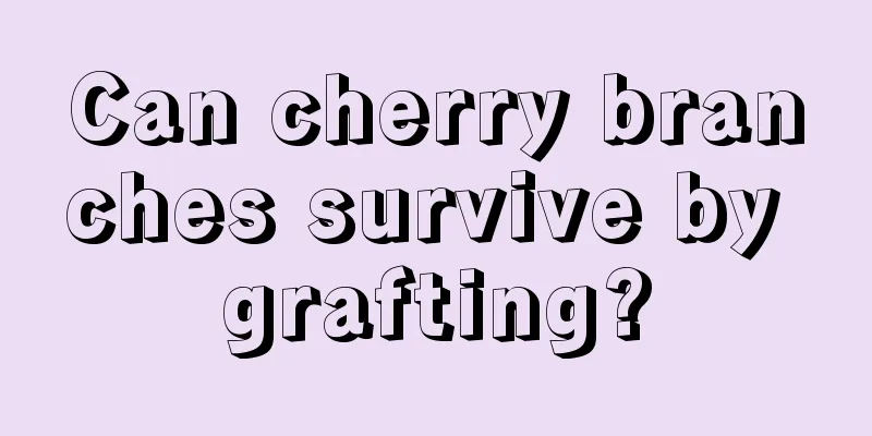 Can cherry branches survive by grafting?