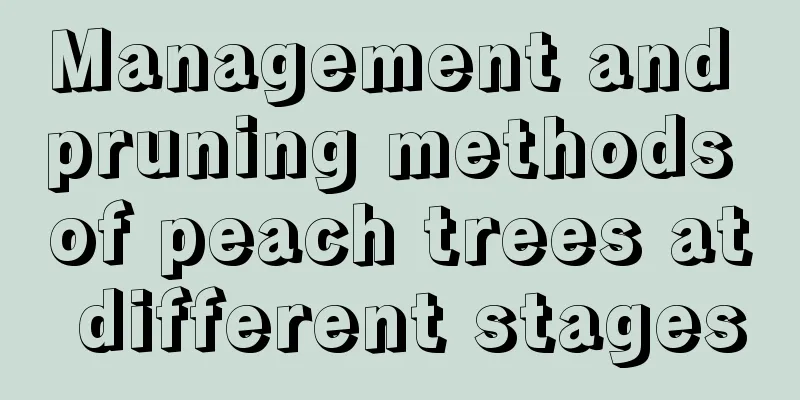 Management and pruning methods of peach trees at different stages