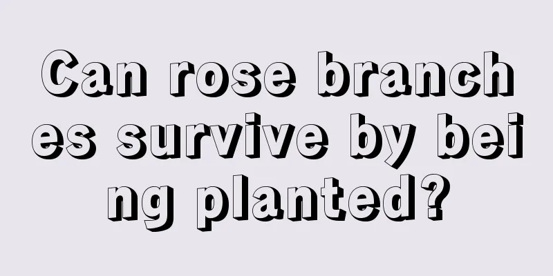 Can rose branches survive by being planted?