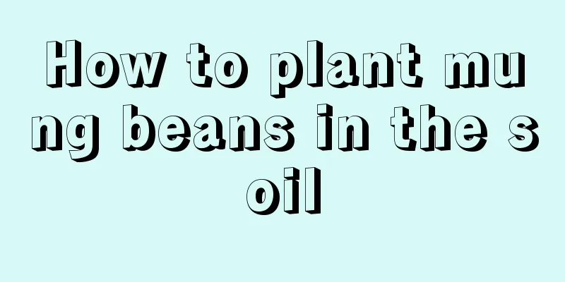 How to plant mung beans in the soil