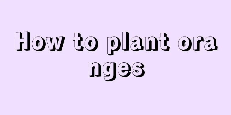 How to plant oranges