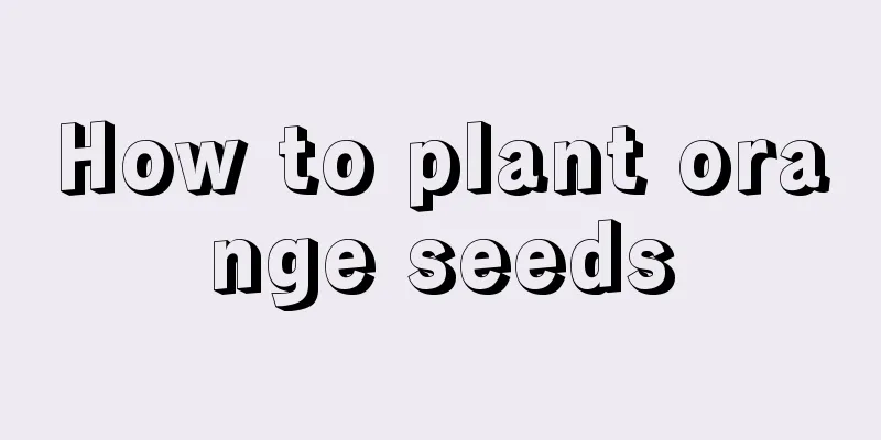 How to plant orange seeds