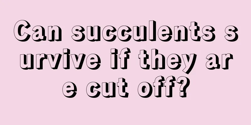 Can succulents survive if they are cut off?