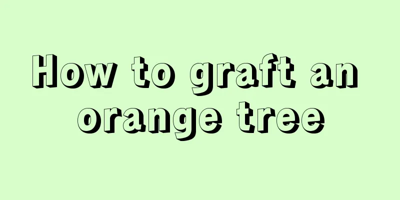 How to graft an orange tree