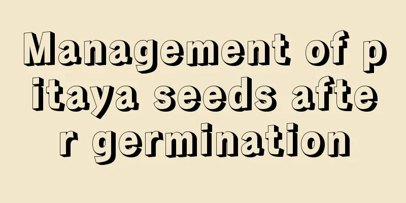 Management of pitaya seeds after germination