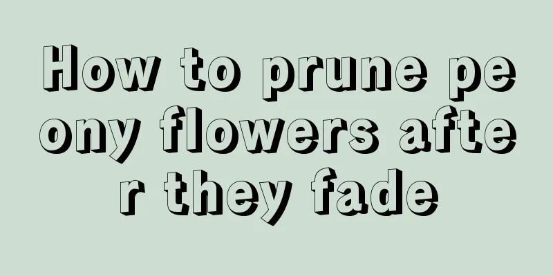 How to prune peony flowers after they fade