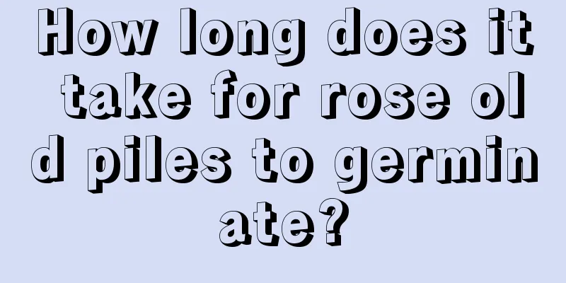 How long does it take for rose old piles to germinate?