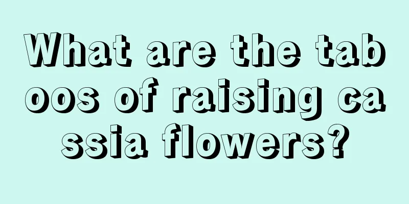 What are the taboos of raising cassia flowers?