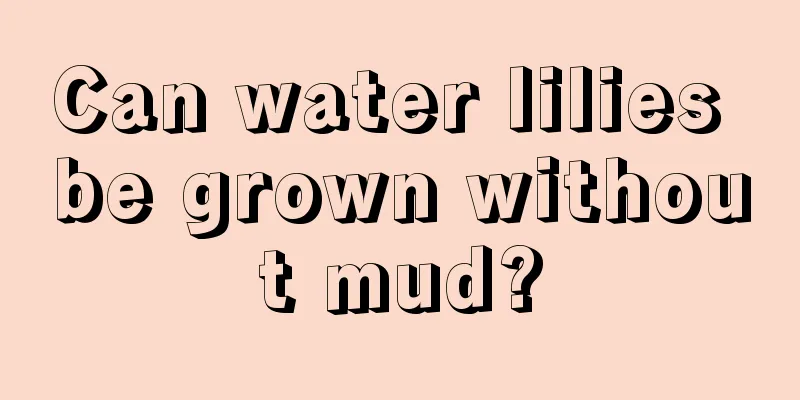 Can water lilies be grown without mud?