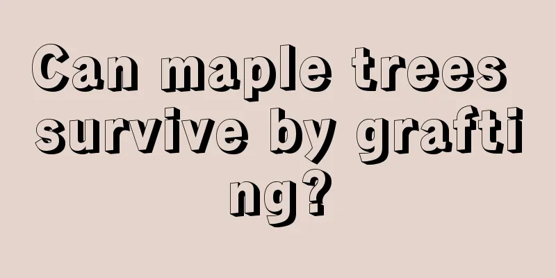 Can maple trees survive by grafting?