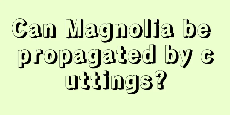 Can Magnolia be propagated by cuttings?