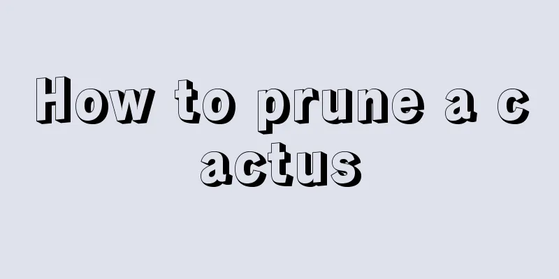 How to prune a cactus