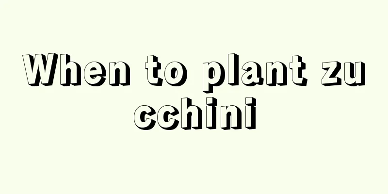 When to plant zucchini