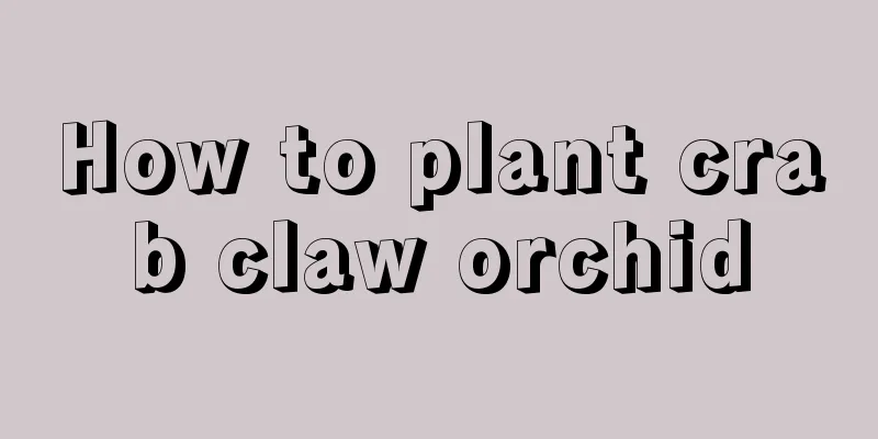 How to plant crab claw orchid