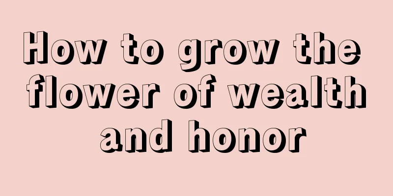 How to grow the flower of wealth and honor