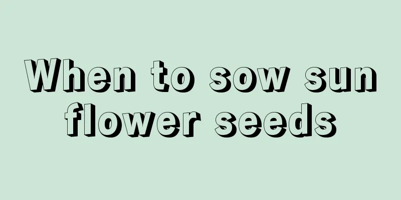 When to sow sunflower seeds