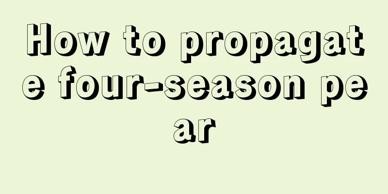 How to propagate four-season pear