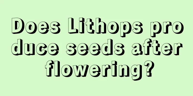 Does Lithops produce seeds after flowering?