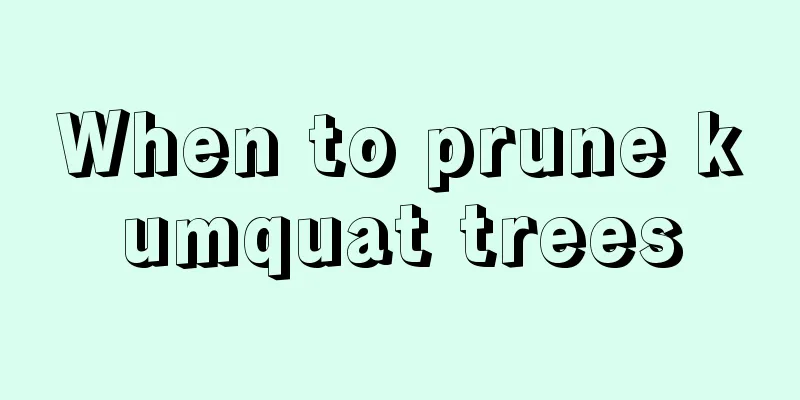 When to prune kumquat trees