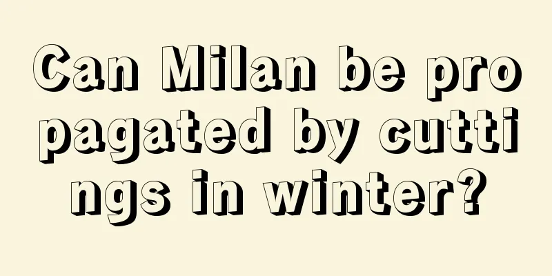 Can Milan be propagated by cuttings in winter?