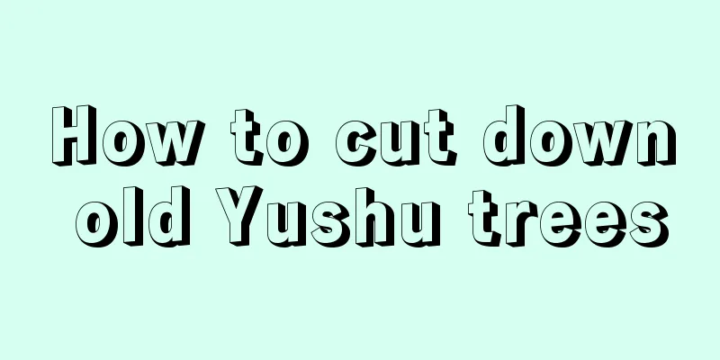 How to cut down old Yushu trees