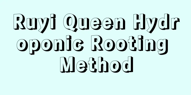 Ruyi Queen Hydroponic Rooting Method