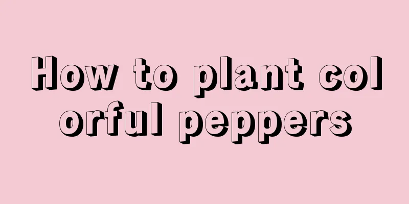 How to plant colorful peppers