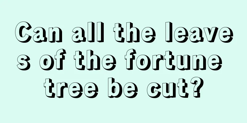 Can all the leaves of the fortune tree be cut?