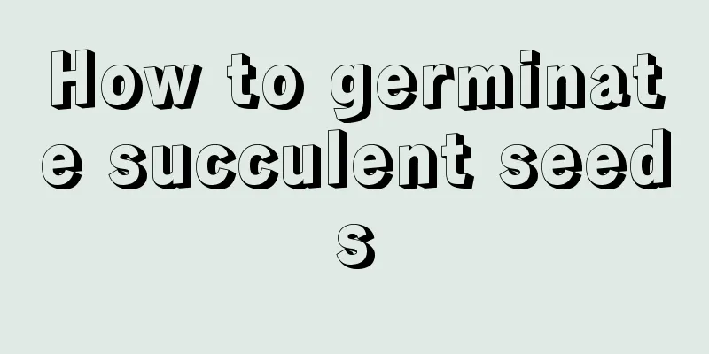 How to germinate succulent seeds