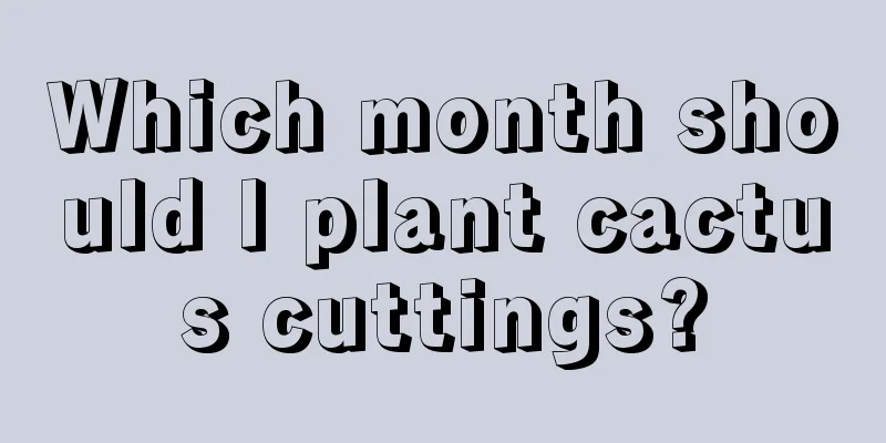 Which month should I plant cactus cuttings?