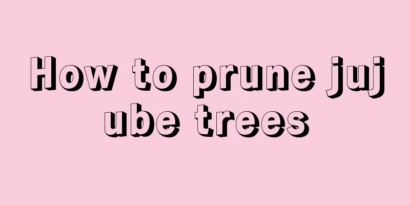 How to prune jujube trees