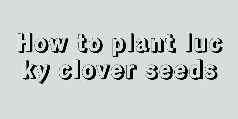 How to plant lucky clover seeds