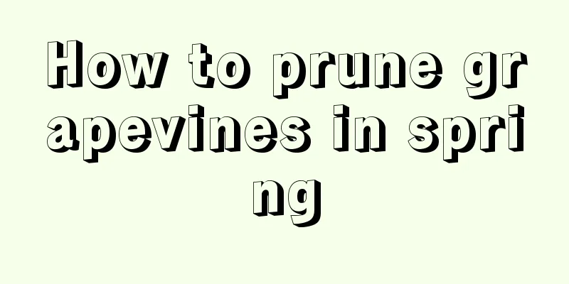 How to prune grapevines in spring