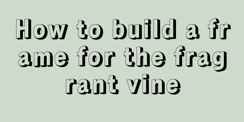 How to build a frame for the fragrant vine