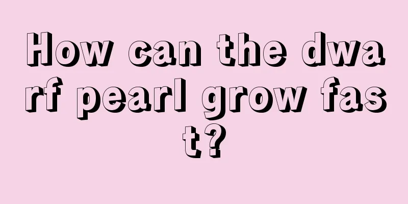 How can the dwarf pearl grow fast?