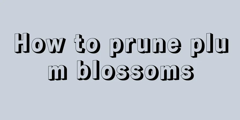 How to prune plum blossoms