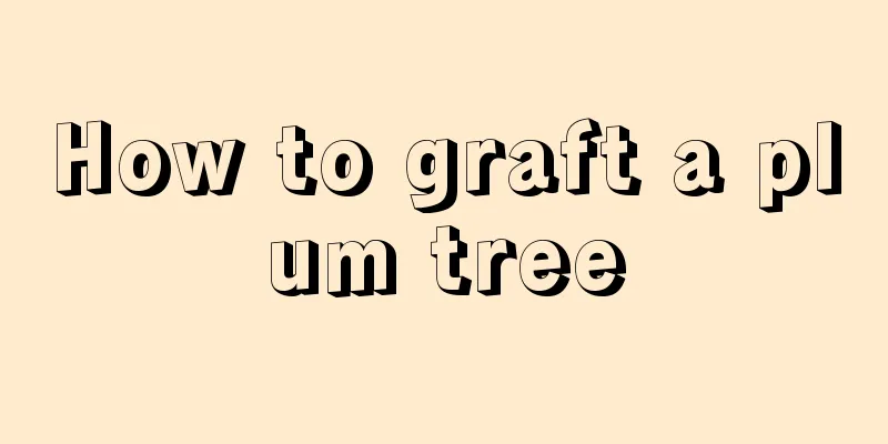 How to graft a plum tree