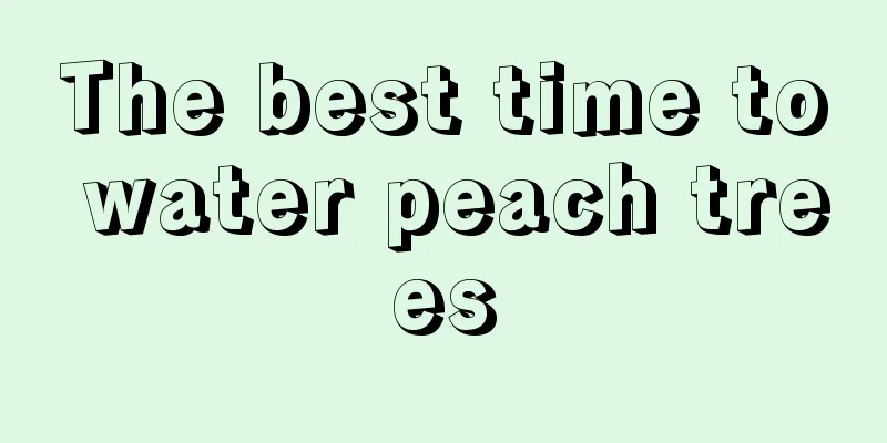 The best time to water peach trees