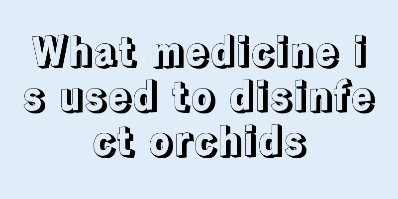 What medicine is used to disinfect orchids