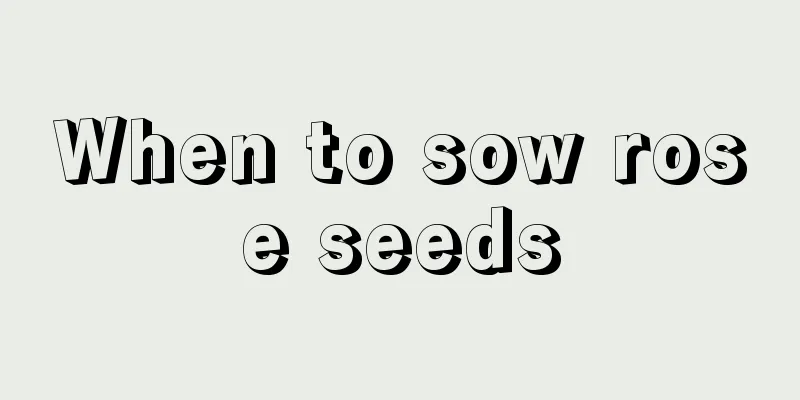 When to sow rose seeds