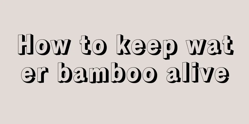 How to keep water bamboo alive