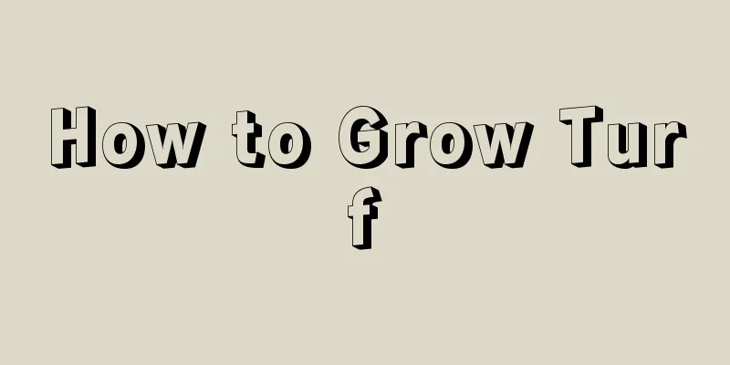 How to Grow Turf