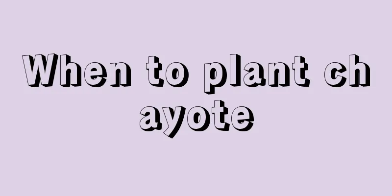 When to plant chayote