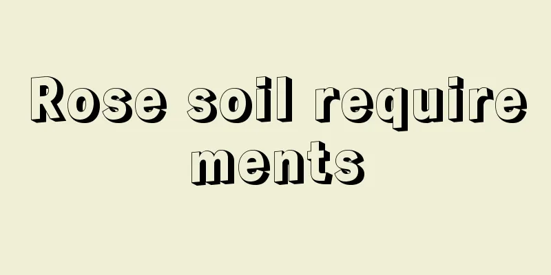 Rose soil requirements