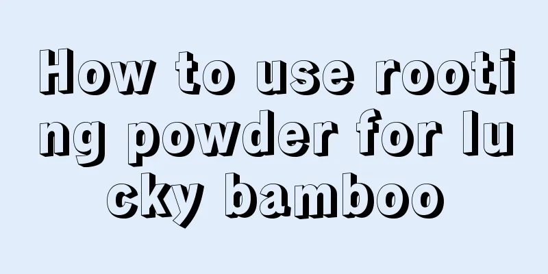 How to use rooting powder for lucky bamboo