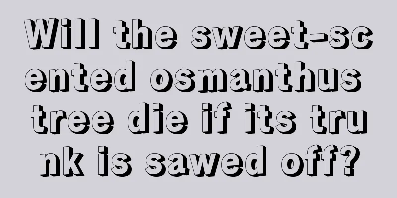 Will the sweet-scented osmanthus tree die if its trunk is sawed off?